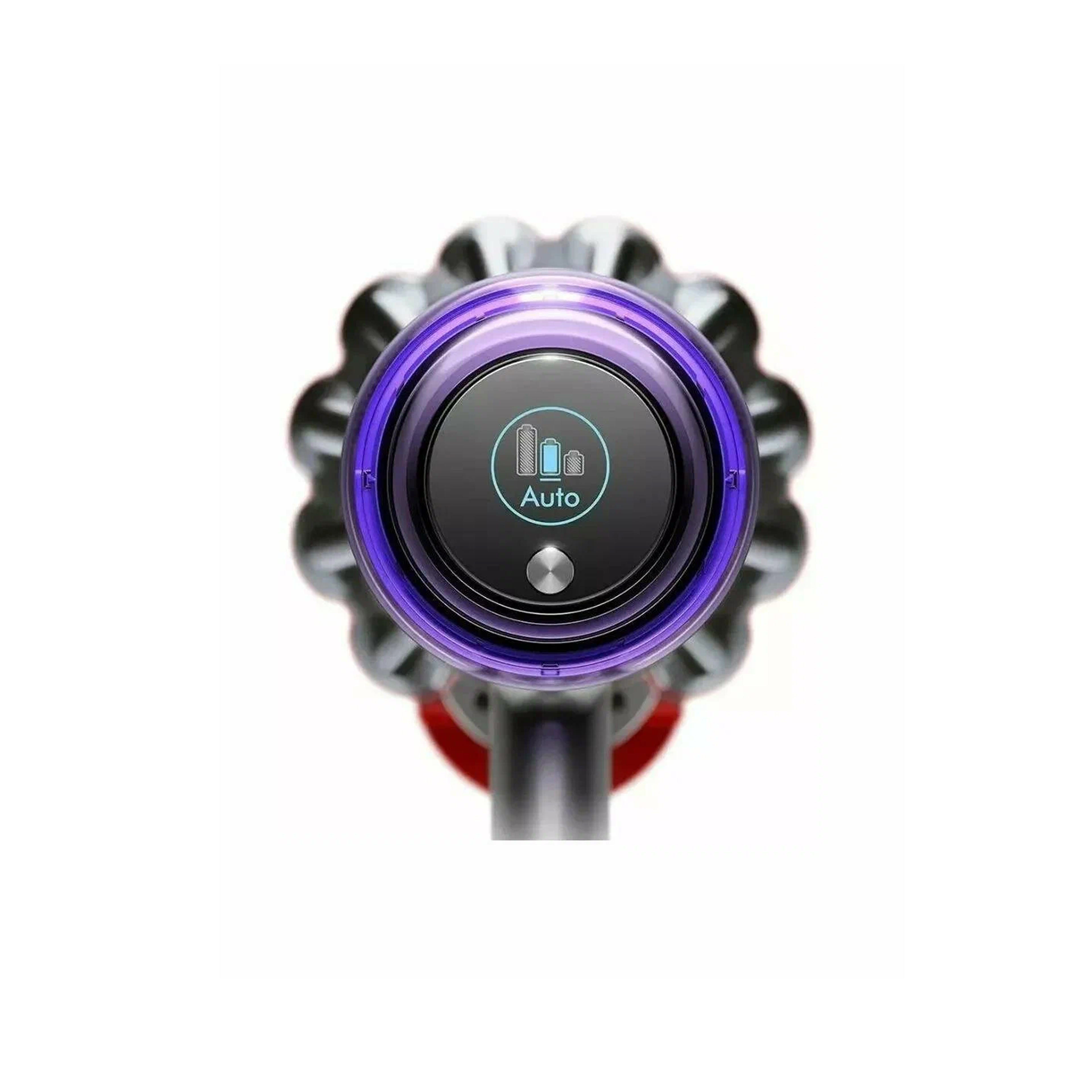 Dyson V11 Advanced, Nickel/Purple