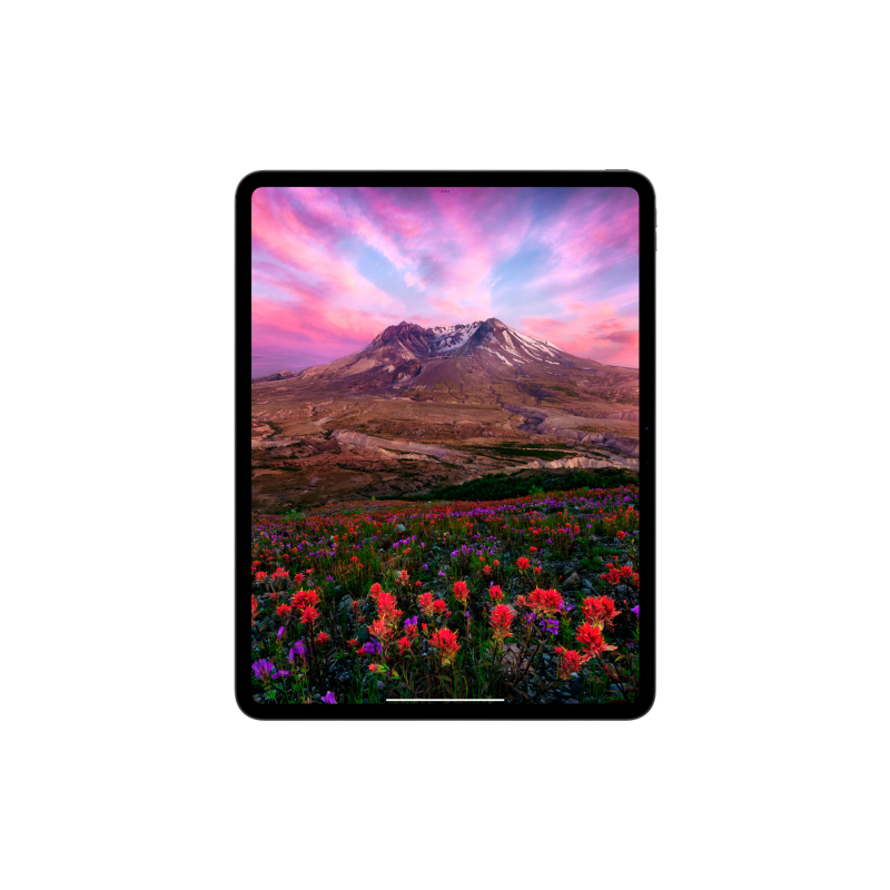 Apple iPad Pro M4, 13” дюймов Wi-Fi + Cellular 2 ТБ, Чёрный космос