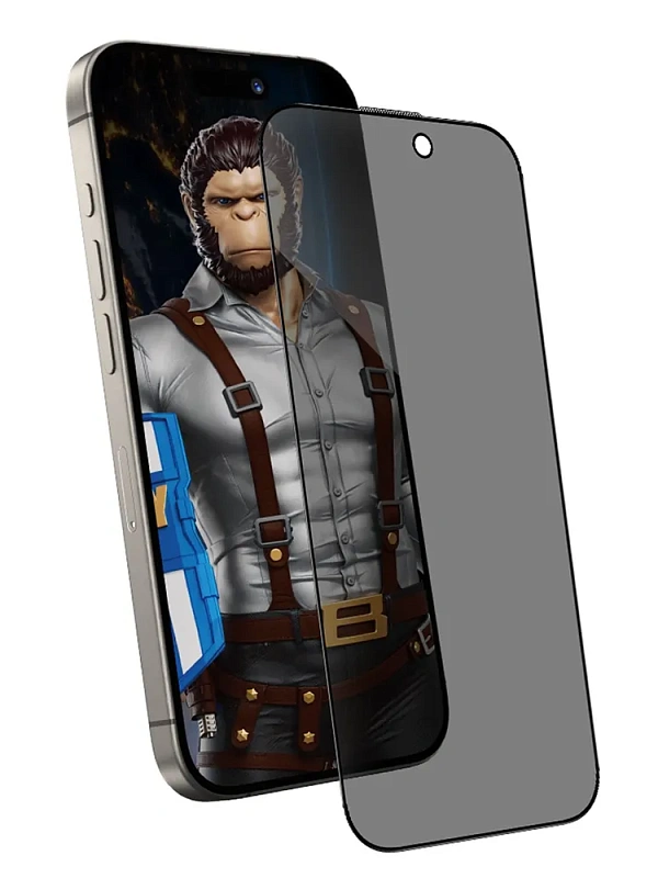 Приватное защитное стекло Blueo для Apple iPhone 16 Pro Max (анти-шпион)